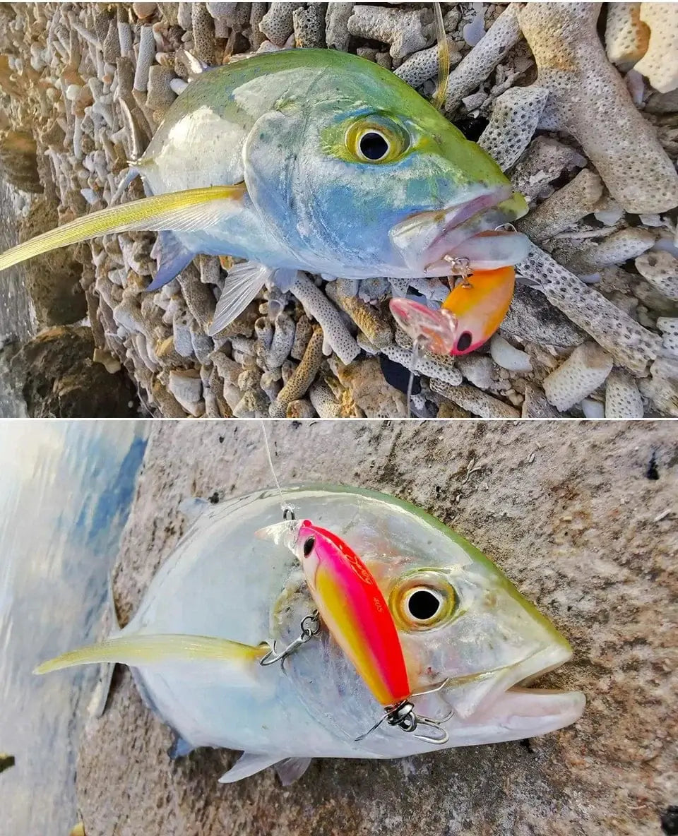 China China TSURINOYA 40S Sinking Minnow Fishing Lure 40mm 3.7g SENTRY Artificial Hard Bait For Light Game Ajing Rockfish Bass Pike Jerkbait