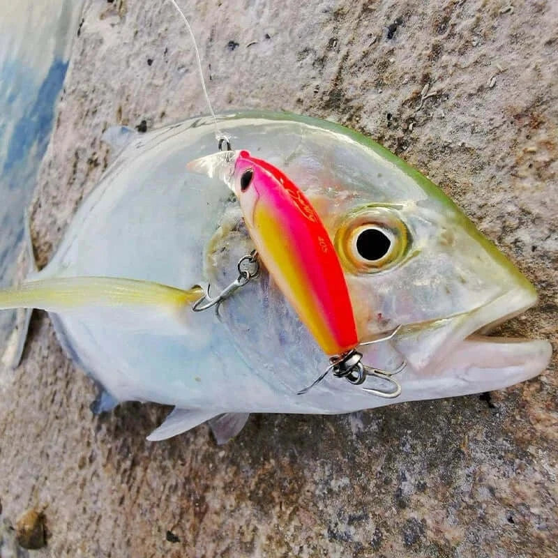 China China TSURINOYA 40S Sinking Minnow Fishing Lure 40mm 3.7g SENTRY Artificial Hard Bait For Light Game Ajing Rockfish Bass Pike Jerkbait