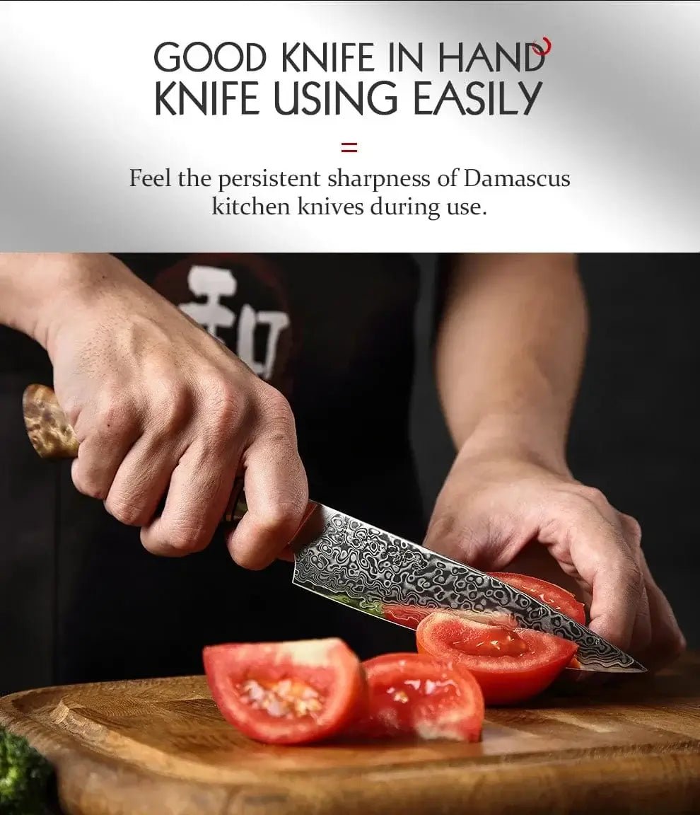 China China utilityknife / 5 inch HEZHEN 5 inch Utility Knife Real 67 Layer Damascus Super Steel Super Cook Knife Pretty Peeling Knife Super Sharp Kitchen Knife