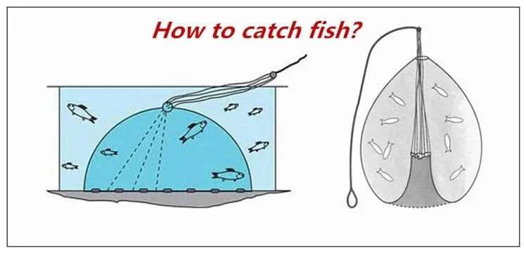 China Fishing Nets Finefish Height 1.2-3.6M Hand Throw Network With Ring Gillnet Easy USA Cast Nets Catch Fishing Net Small Mesh Hunting Fish Gear