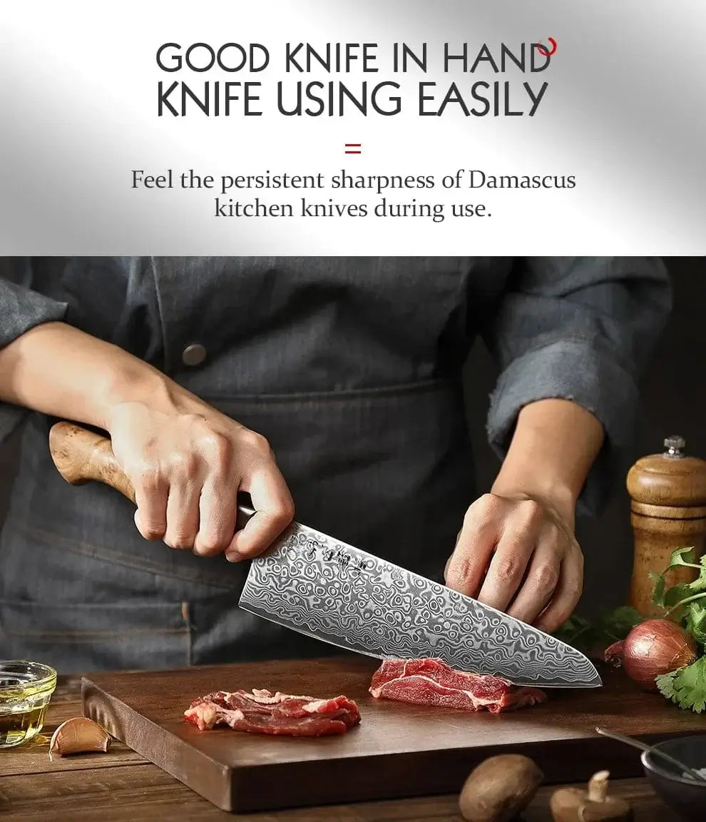 China Kitchen Knife HEZHEN 2PC Knife Set