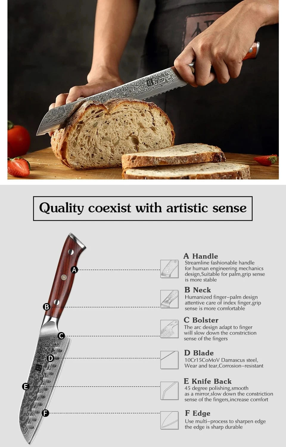 China Kitchen Knife XINZUO 1-10 PCS Kitchen Knife 67 Layers Damascus Steel Chef