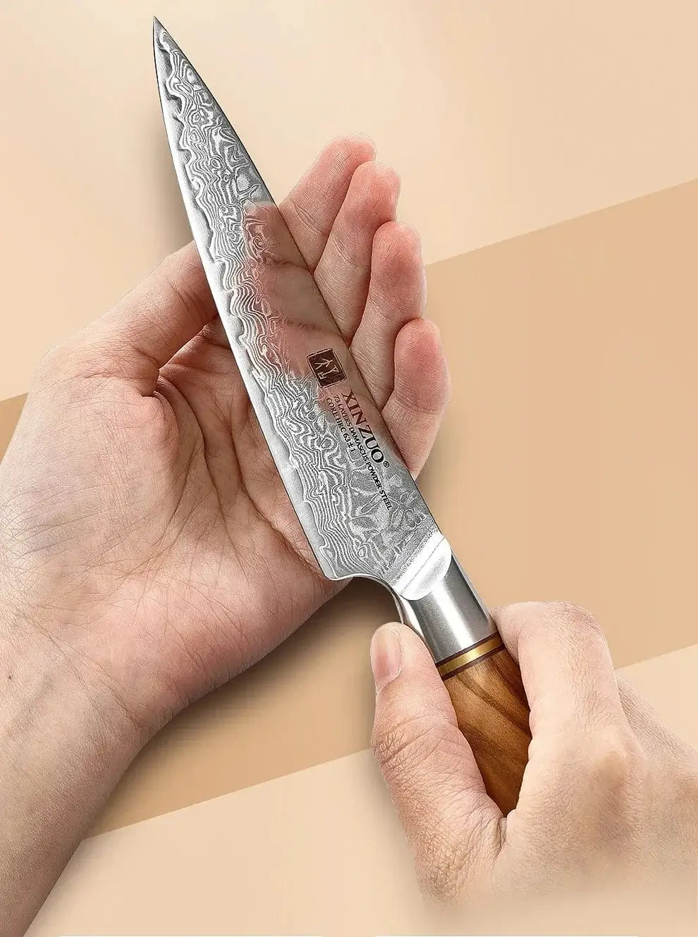 China Kitchen Knife XINZUO 73 Layers Damascus Steel 1pc Or 2pcs Knife Set