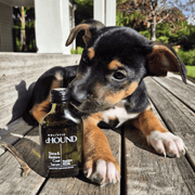 Animal Addiction Limited Dog Health Care Holistic Hound - Shine & Restore Coat Serum 50mls Holistic Hound - Shine & Restore Coat Serum 50mls