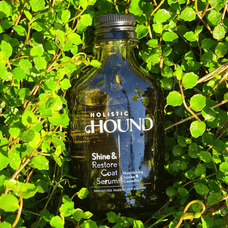 Animal Addiction Limited Dog Health Care Holistic Hound - Shine & Restore Coat Serum 50mls Holistic Hound - Shine & Restore Coat Serum 50mls