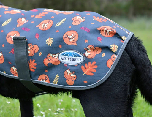 WeatherBeeta Clearance WeatherBeeta ComFiTec Premier Free Parka Dog Coat Medium WeatherBeeta ComFiTec Premier Free Parka Dog Coat Medium