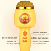 Microphone Wireless Bluetooth Singing Rechargeable Karaoke by dealonline.co.nz
