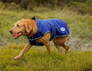 WeatherBeeta Clearance WeatherBeeta ComFiTec Premier Free Parka Deluxe Dog Coat Medium WeatherBeeta ComFiTec Premier Free Parka Deluxe Dog Coat Medium