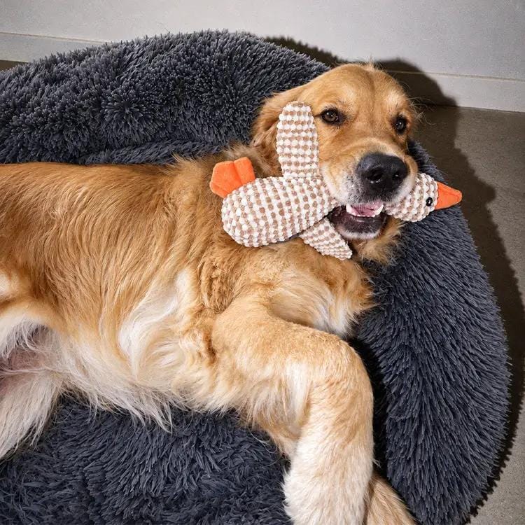 The Brooklyn Dog Beds Brooklyn® Deep Sleep Pet Bed Brooklyn Deep Sleep Calming Donut Dog Bed