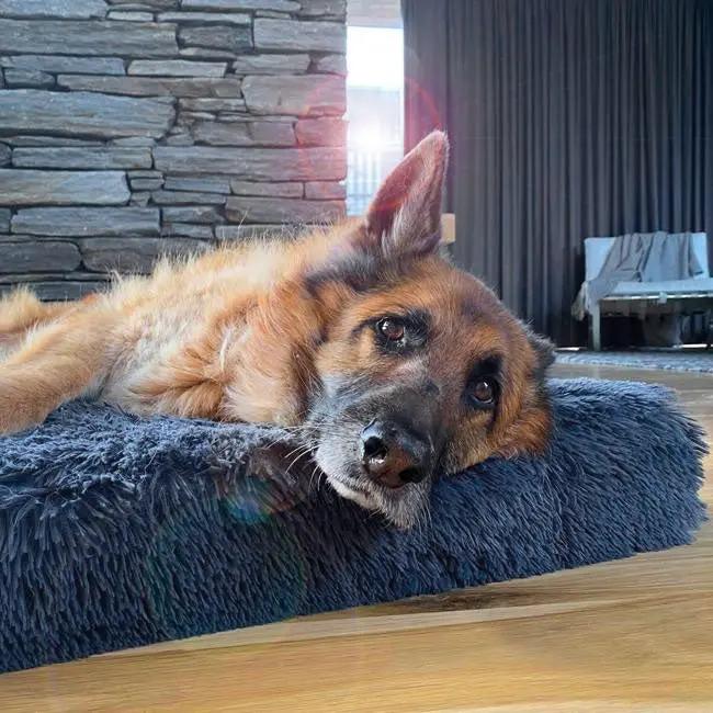 Brooklyn® Ultra Memory Foam Bed by The Brooklyn