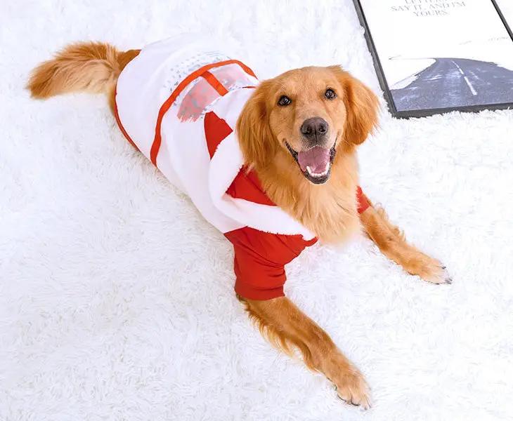 Dog Coat Hoodie Pet Winter Clothes Warm and Soft Size 6XL by dealonline.co.nz