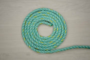 Donaghys Donaghys Rope 6mm x 250metre Aquatec Mono Rope Green W/ Gold