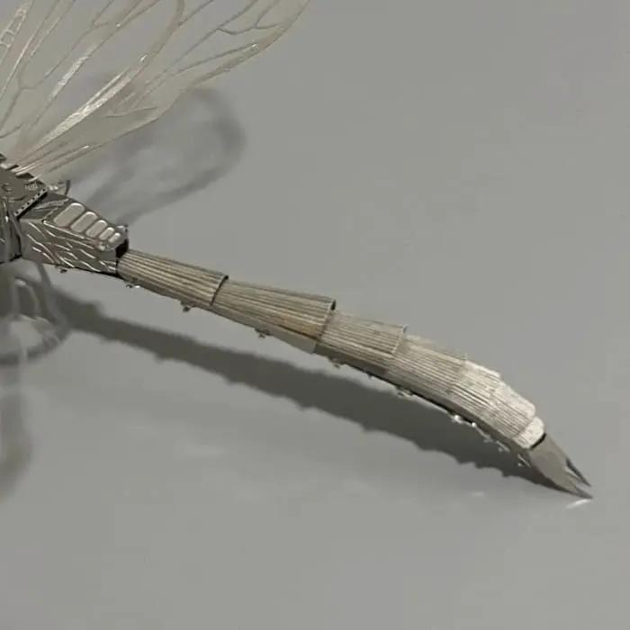 Dragonfly by 9eight5