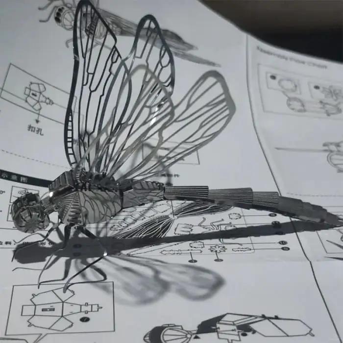 Dragonfly