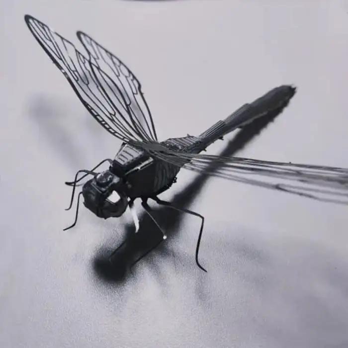 Dragonfly