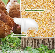 Poultry Pro Feeder Chicken Feeder by salelink.co.nz