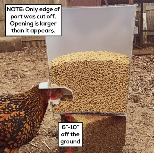 Poultry Pro Feeder Chicken Feeder by salelink.co.nz