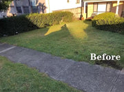 1x10M Artificial Grass 30MM 10M2 by salelink.co.nz