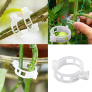 100PCS Greenhouse Garden Plant Tomato Support Veggie Clips Trellis Twine by salelink.co.nz
