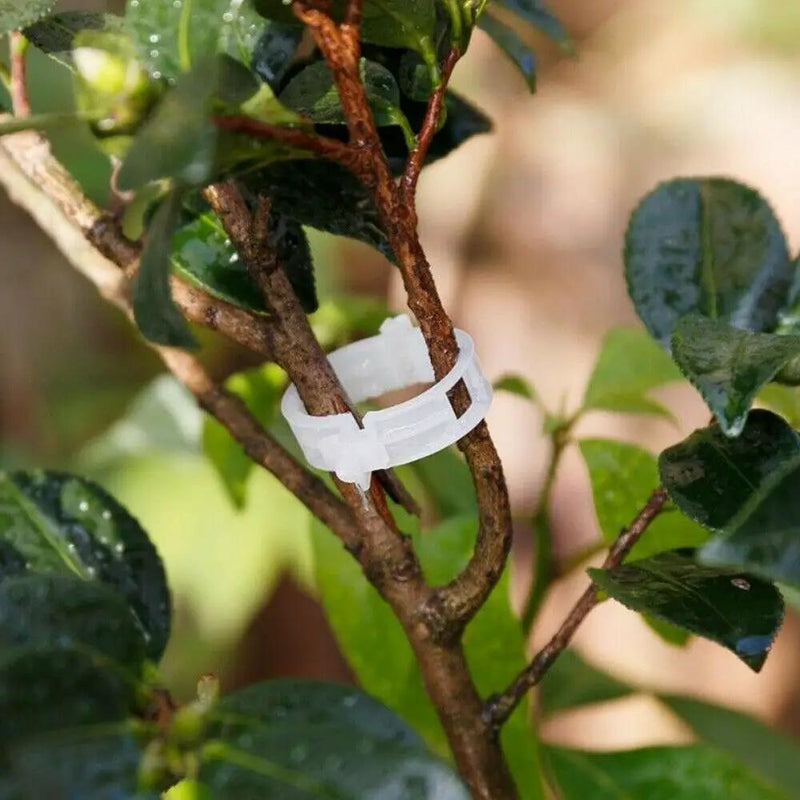 100PCS Greenhouse Garden Plant Tomato Support Veggie Clips Trellis Twine by salelink.co.nz