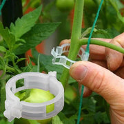 100PCS Greenhouse Garden Plant Tomato Support Veggie Clips Trellis Twine by salelink.co.nz