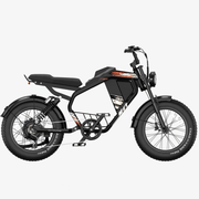 Kiwi eRide Kiwi eRide Luckeep M5 Electric Bike Luckeep M5 Electric Bike