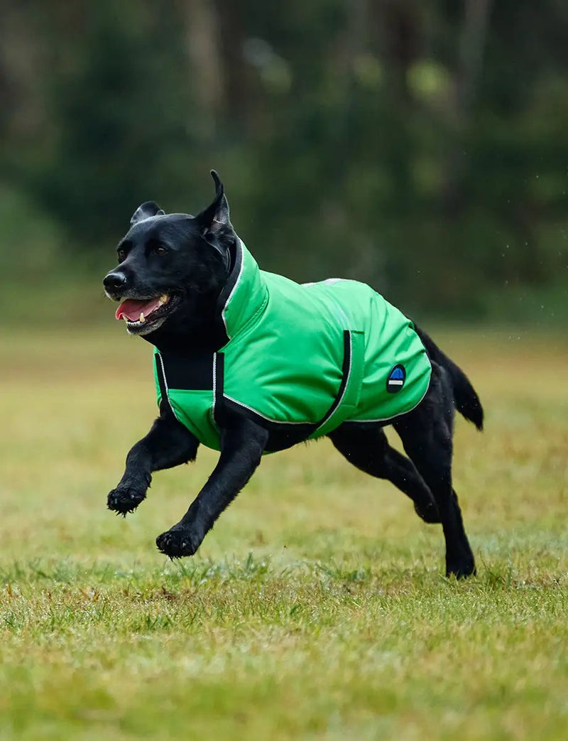 WeatherBeeta ComFiTec Reflective 300D Deluxe Showerproof Dog Coat by WeatherBeeta