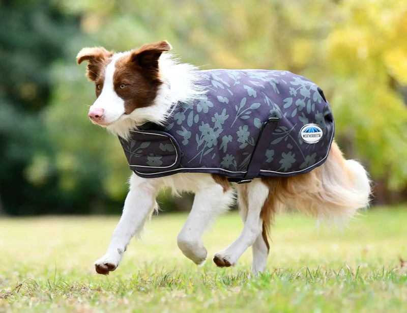 WeatherBeeta ComFiTec Premier Free Parka Dog Coat Medium by WeatherBeeta