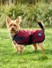 WeatherBeeta ComFiTec Classic Waterproof Dog Coat by WeatherBeeta