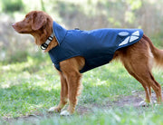 WeatherBeeta Explorer Lite Dog Coat by WeatherBeeta