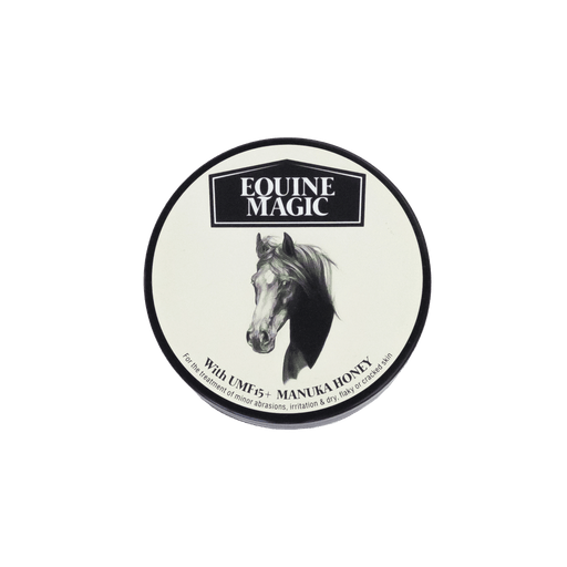 Equine Magic by The Honey Collection