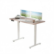 Electra Ergo Single Motor Sit Stand Desk Walnut with White Legs 1.2m by sue-e furniture