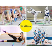 SportZone.co.nz Sports & Fitness > Fitness Accessories Everfit 3M Air Track Inflatable Gymnastics Tumbling Mat With Pump Everfit Air Track Inflatable Tumbling Mat with Pump