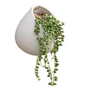White Plant Pot Ceramic Planter by salelink.co.nz
