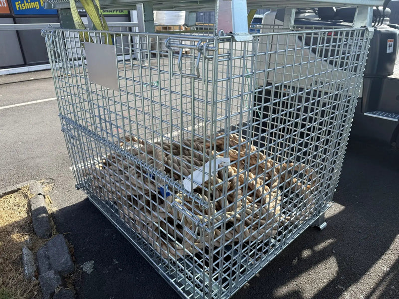 Collapsible Wire Mesh Storage Cage 800kg Capacity Rugged Warehouse Storage Solution Auckland Racking by Auckland Racking