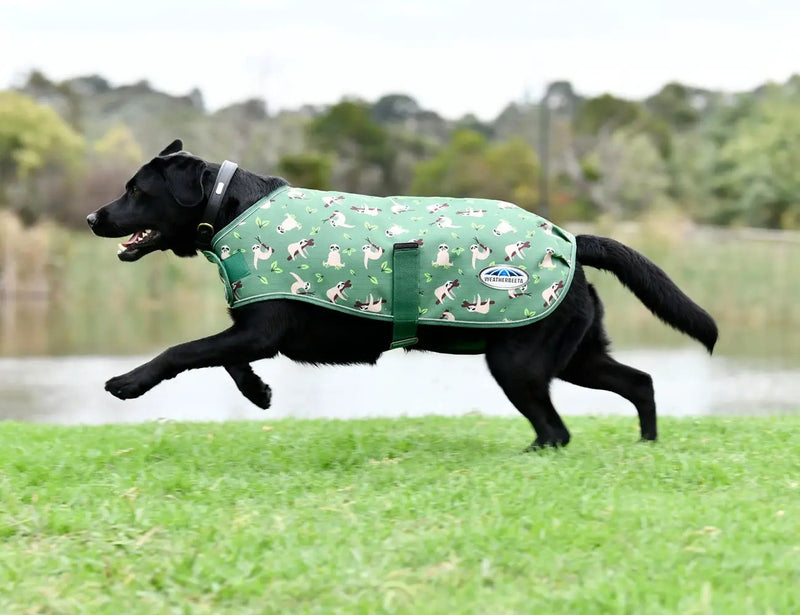 WeatherBeeta ComFiTec Premier Free Parka Dog Coat Medium by WeatherBeeta