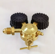 Nitrogen Regulator with 2M Hose by salelink.co.nz