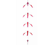 Exciter Bird 7 Inch with Reflective Strip