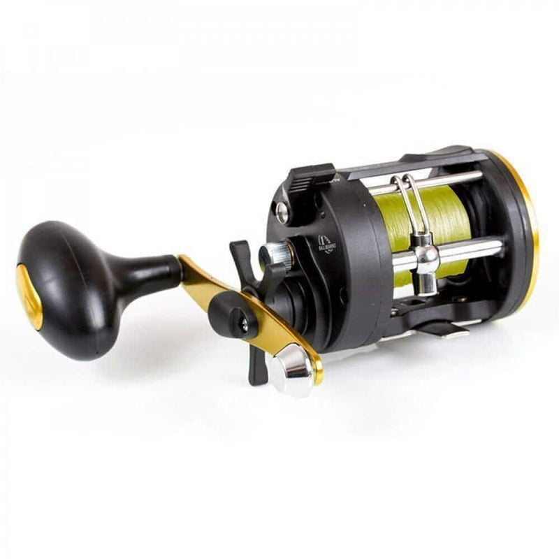 Reel Overhead Warbird 2030 + Braid fishing reel featuring a lightweight design and smooth operation.