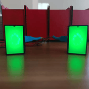 RaceCraftsNZ LED Flags Module, 8LEDS, Programmable, 2 Sides by RaceCrafts