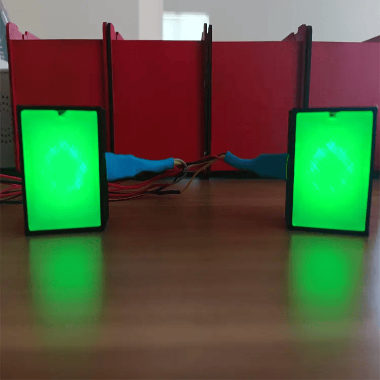 RaceCraftsNZ LED Flags Module, 8LEDS, Programmable, 2 Sides by RaceCrafts