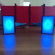 RaceCraftsNZ LED Flags Module, 8LEDS, Programmable, 2 Sides by RaceCrafts