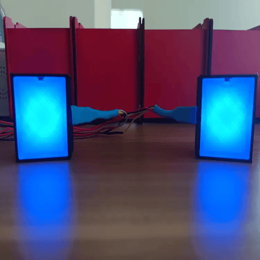 RaceCraftsNZ LED Flags Module, 8LEDS, Programmable, 2 Sides by RaceCrafts
