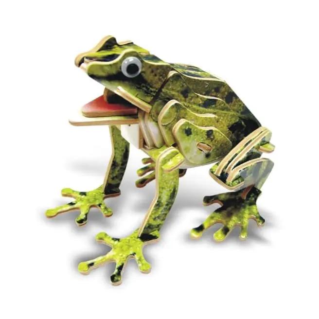 Frog (illuminated) by 9eight5