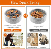 Dog Slow Feeder Dog Bowls Spiral Slow Feeder by salelink.co.nz