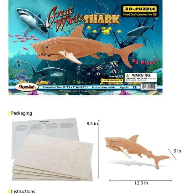 Great White Shark by 9eight5