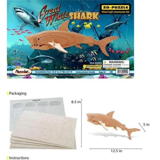 Great White Shark by 9eight5