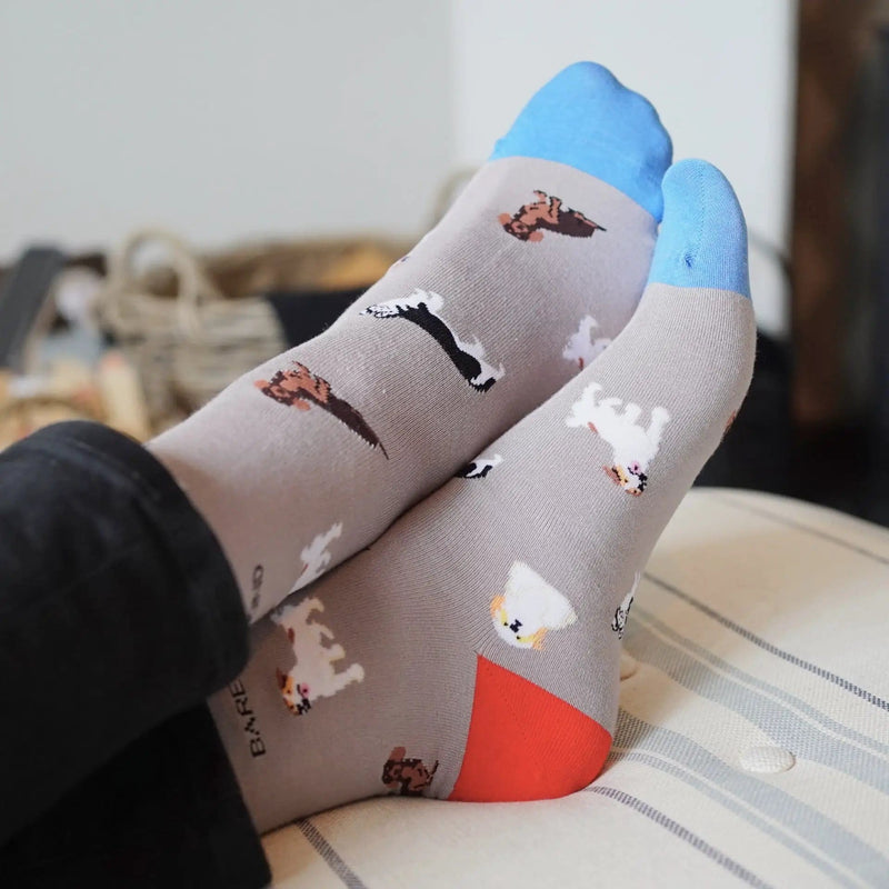 Barekind NZ Socks Save the Grey Dog Bamboo Socks Save the Grey Dog Bamboo Socks