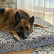Brooklyn® Ultra Memory Foam Bed by The Brooklyn