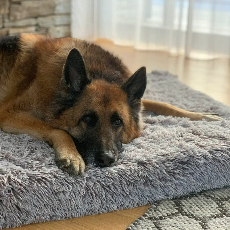 Brooklyn® Ultra Memory Foam Bed by The Brooklyn